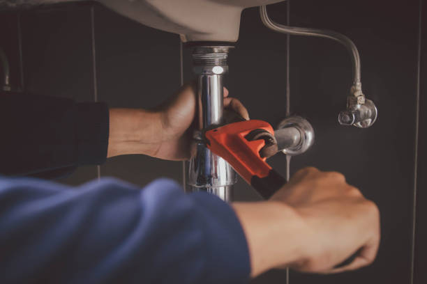 Best Clogged Drain Plumber  in Berkshire Lakes, FL